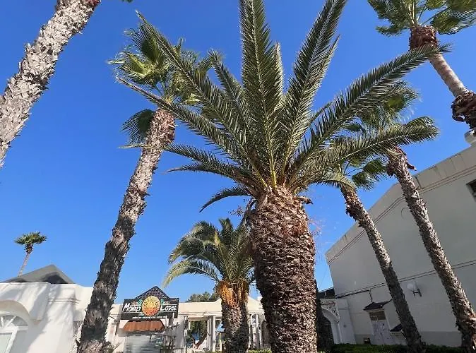 La Caleta * تورّيفيِخا