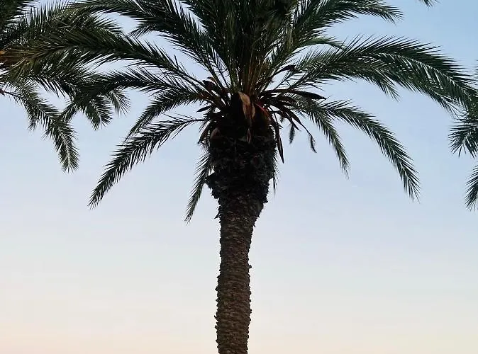 La Caleta شقة تورّيفيِخا